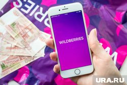 Wildberries пытается запретить бренд «WBнутый» из-за аморальности названия